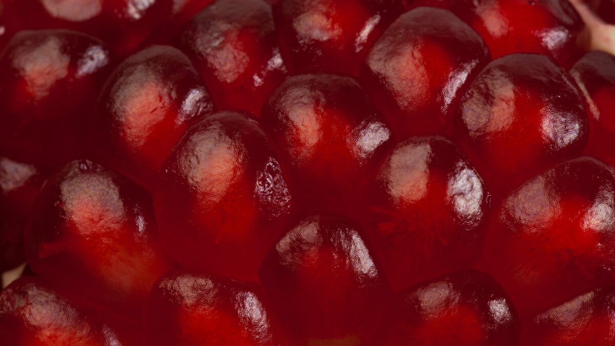 a close up of a bunch of grapes